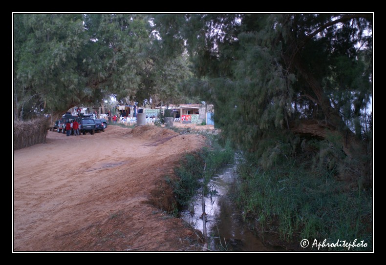 126 Oasis de Ksar Ghilane